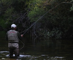 La temporada de pesca con muerte llega a su final en León